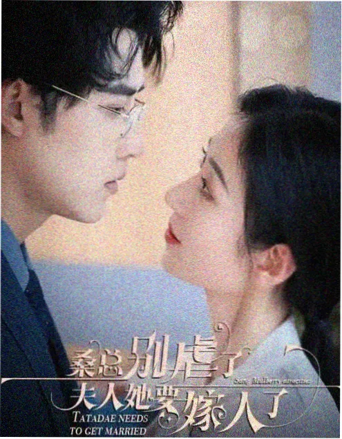 半城烟雨年代传奇剧海报